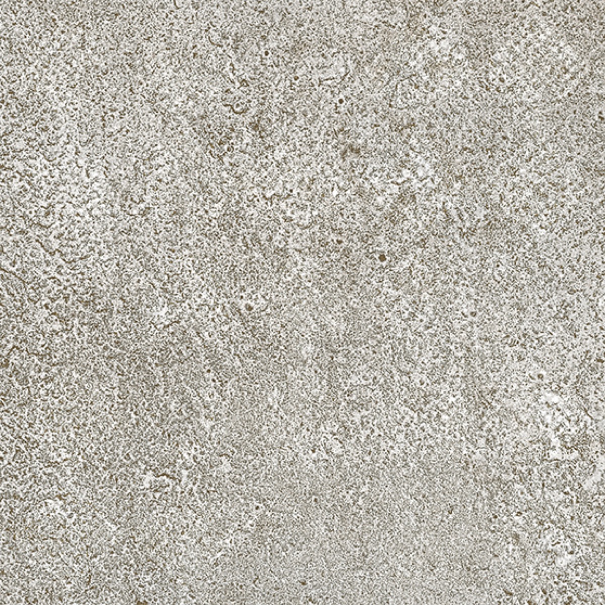 Recer Metalcrete Decor Iron piastrella 20x20 natural