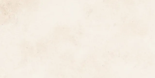 Recer Saluto Gres 30x60R White Plus rettificato bianco