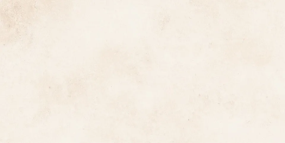 Recer Saluto Gres 30x60R White Plus rettificato bianco