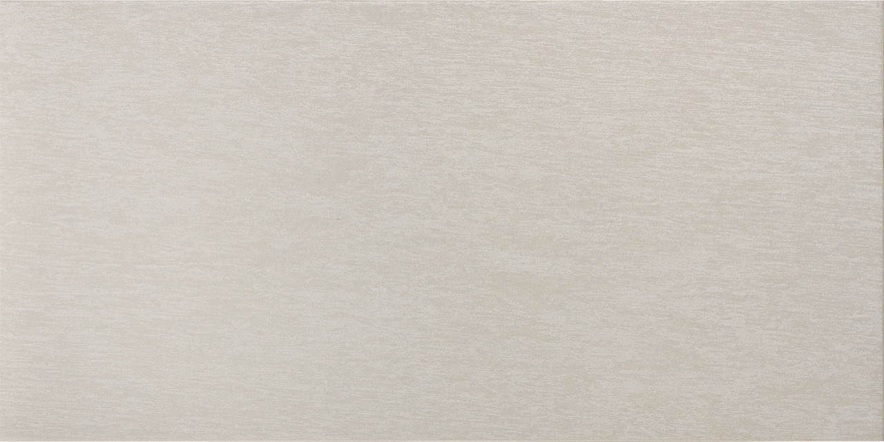 Recer Infinity Basic Grey piastrella 30x60 lucida