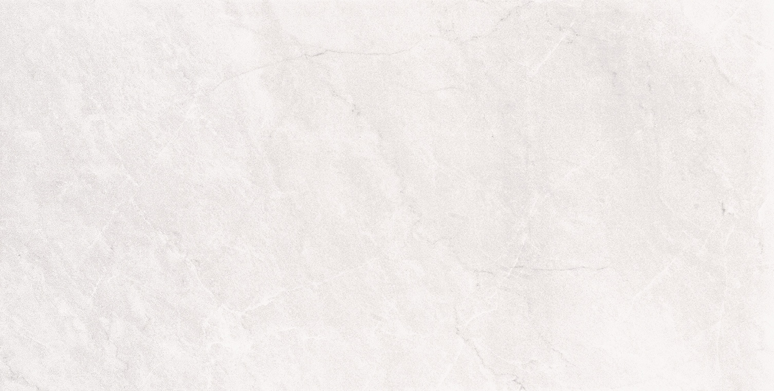 Recer Tresor Grey Rev piastrella 30x60 lucida