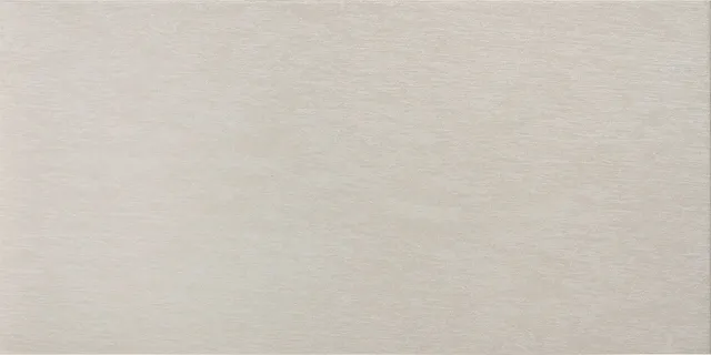 Recer Infinity Basic Grey 30x60R piastrella lucida Brilho