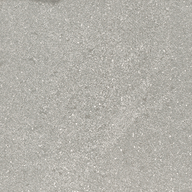 Recer Alliance Dark Grey Piastrella 20x20 Natural Grigio
