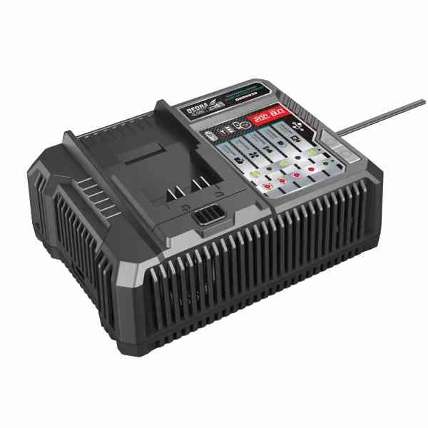 Dedra SAS+ALL Caricabatterie Rapido 18V DED6939 Smart