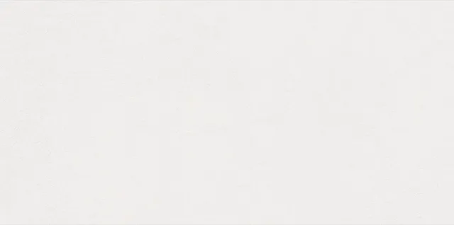Recer Swing White 30x60R piastrella naturale bianca