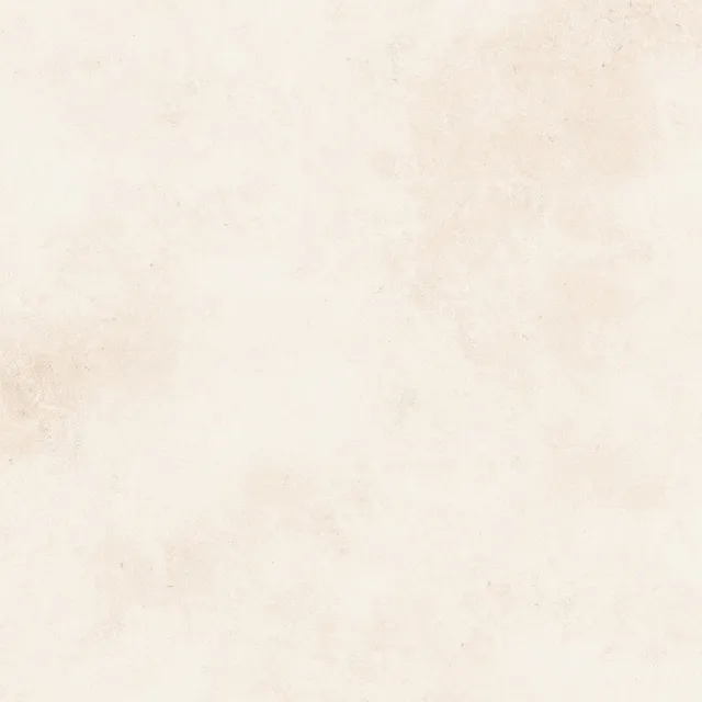 Recer Saluto White piastrella 60x60R bianco Plus