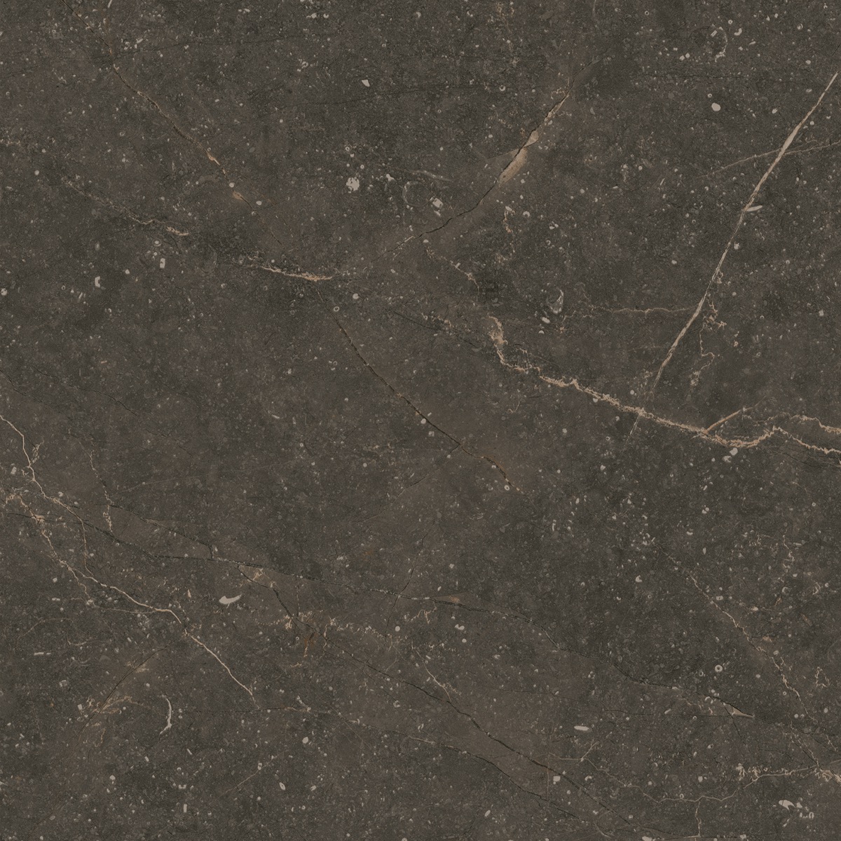 Recer Bluenza Ebony Black piastrella 60x60 antiscivolo