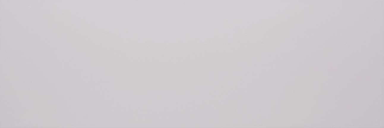 Recer Ice Plain Grey Matt 30x90 piastrella Natural