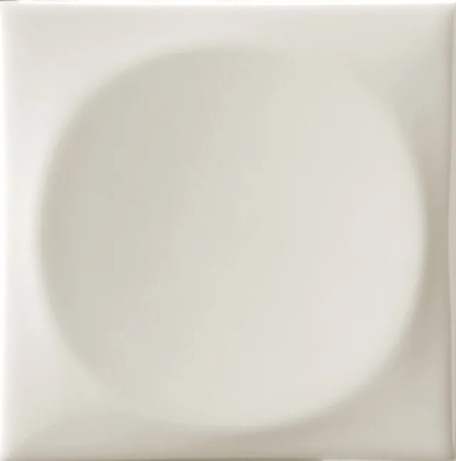 Recer Naprec Gentle Grey Piastrella 10x10 Lucida Campione