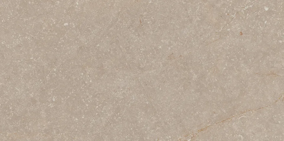 Recer Bluenza Earth Clay piastrella 30x60R naturale