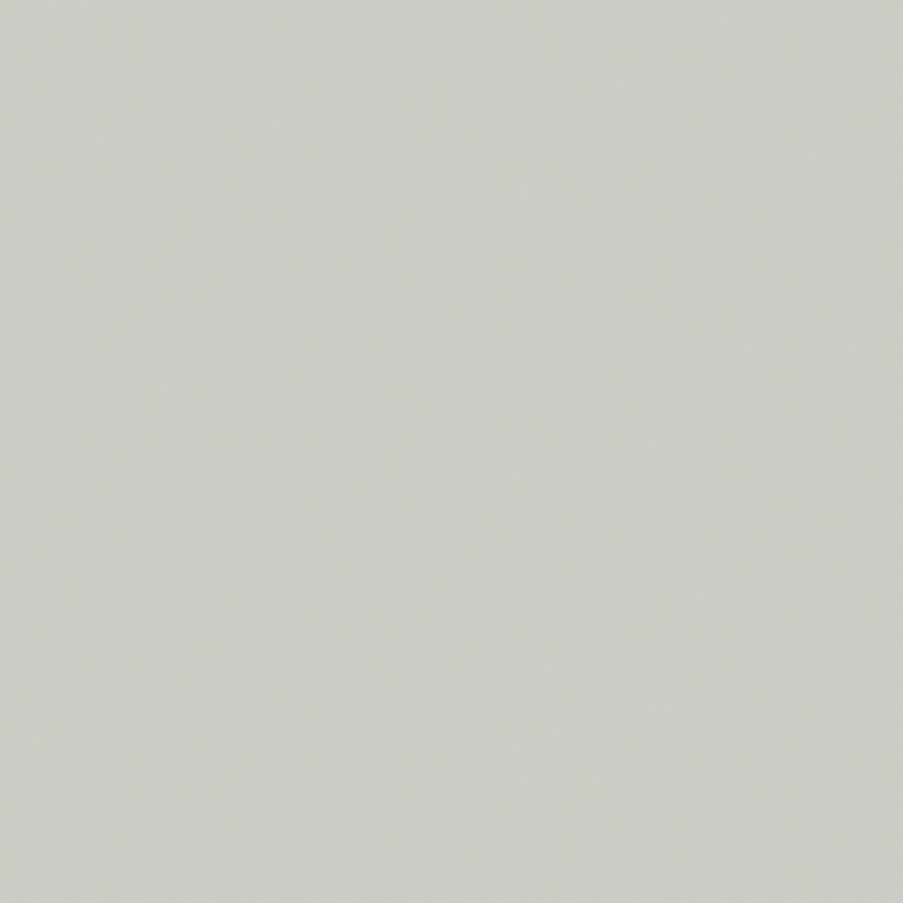 Recer Projectos Cinza M124 piastrella 20x20 naturale