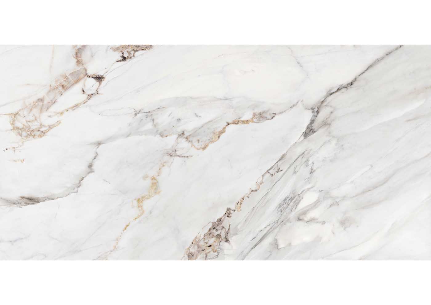 Roca Marble Apuano 60x120R piastrella bianco venato