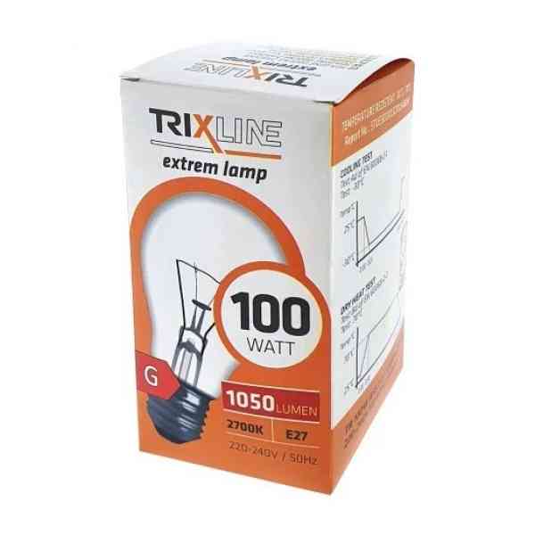 Trixline lampadina industriale E27 100W