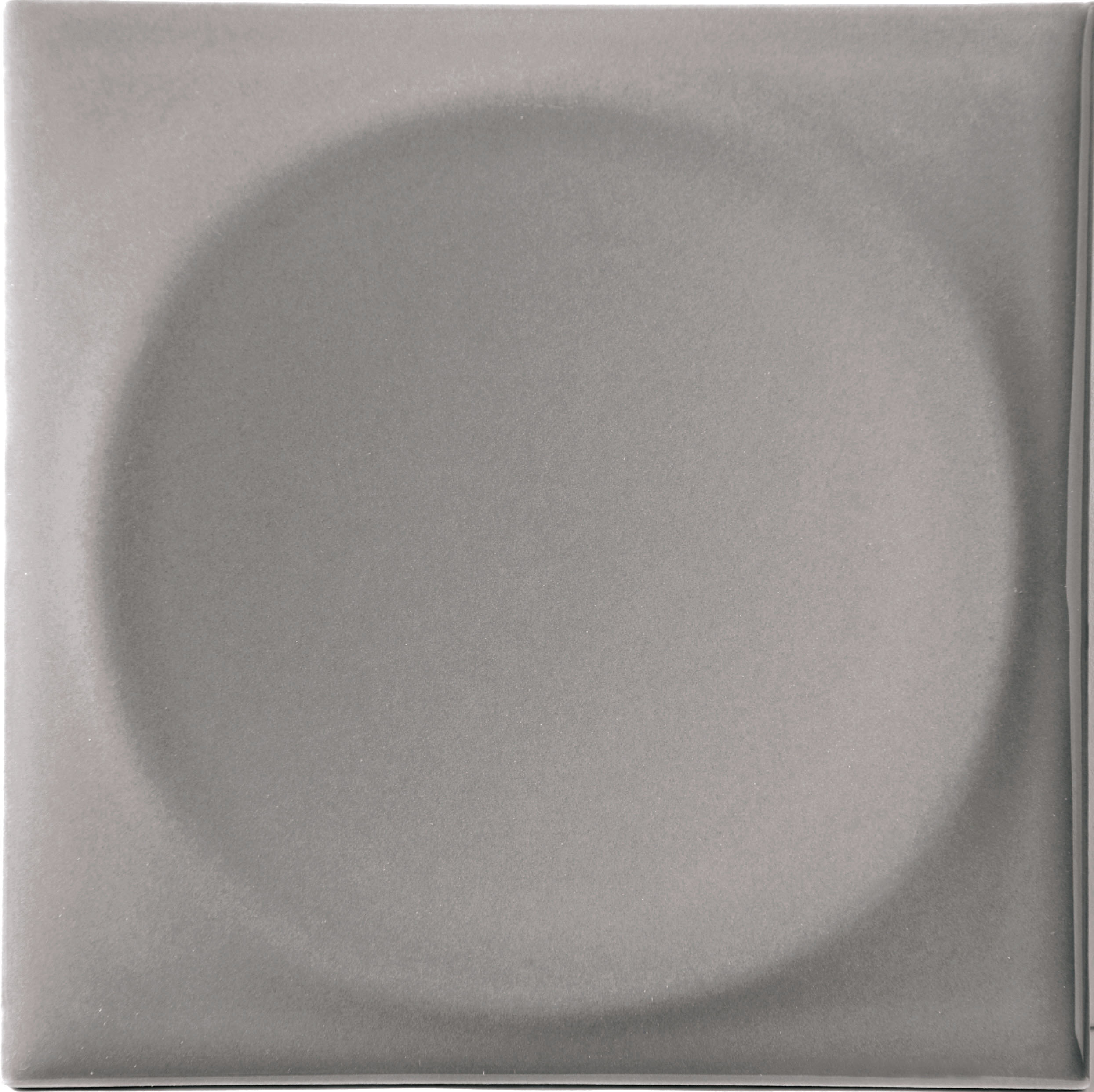 Recer Naprec Master Grey piastrella gres 10x10 campione