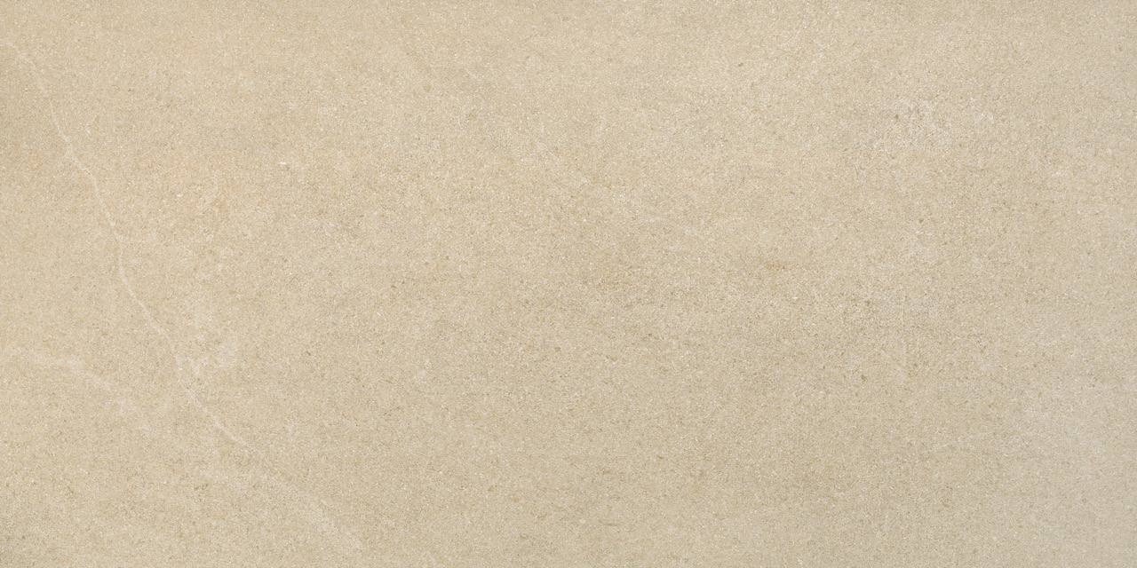 Recer Alliance Dark Beige 60x120R piastrella beige naturale