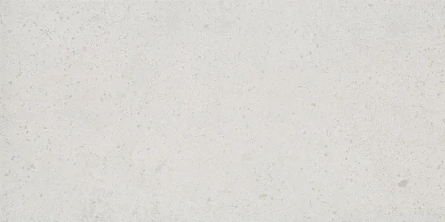 Recer Grand Stone Piastrella 30x60 Silver Natural pietra