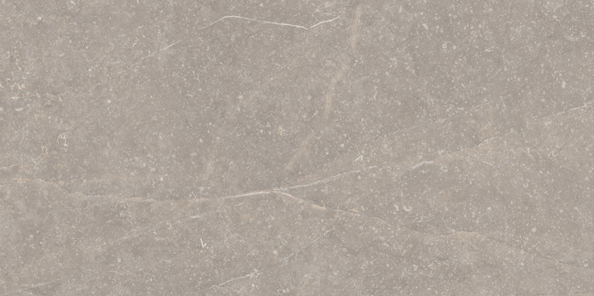 Recer Bluenza piastrella gres Warm Grey 30x60 naturale
