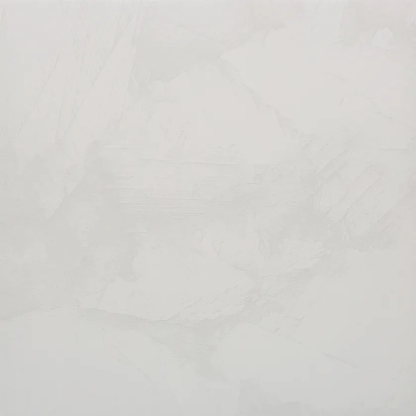 Recer Ice Nightfall 60x60R piastrella satinata scura
