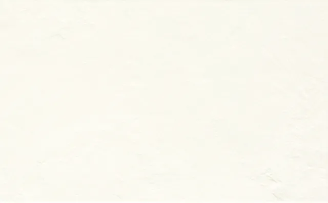 Recer Sphata White 25x40 piastrella bianca naturale