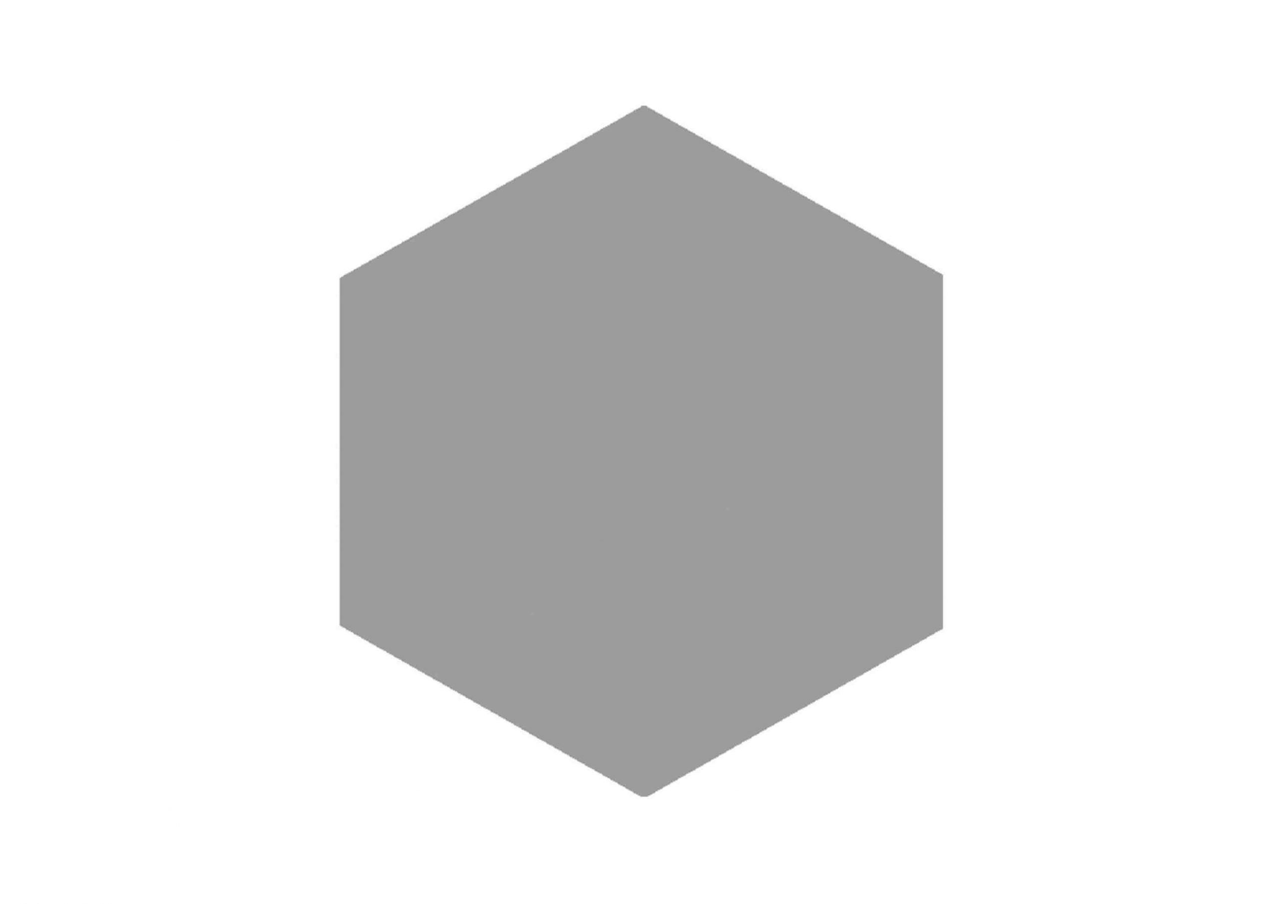 Roca Tiles Block Hexagon Acero piastrella esagonale grigia