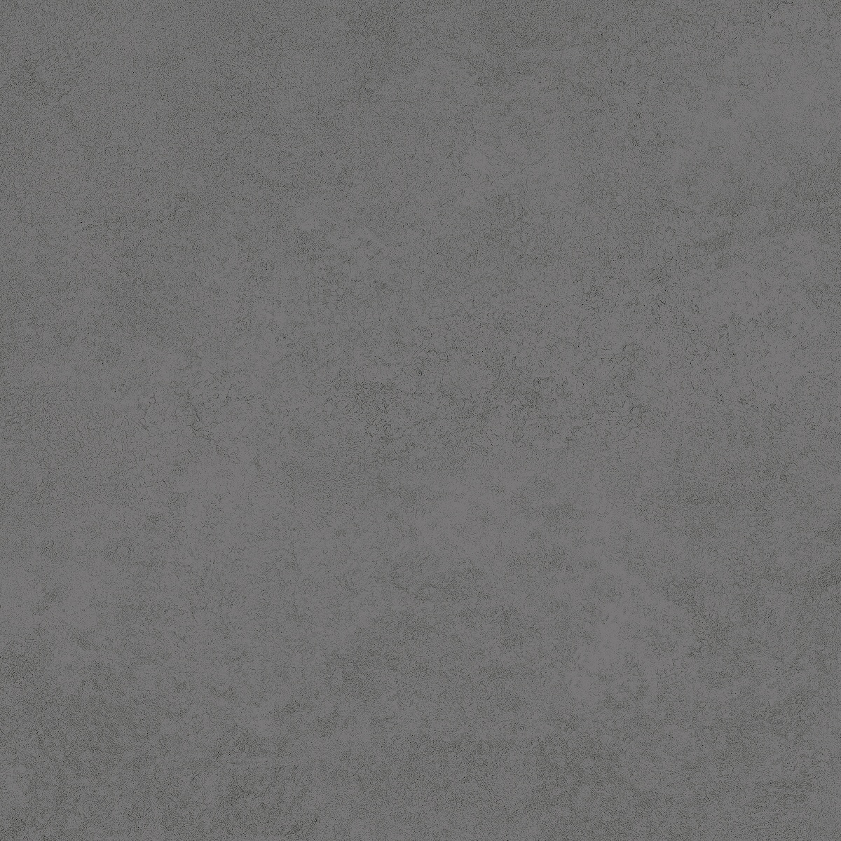 Recer Attitude Anthracite 60x60R piastrella antracite natural