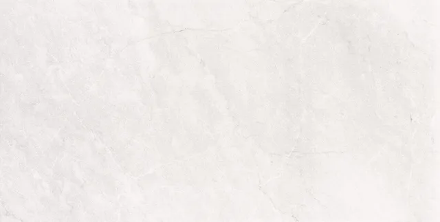 Recer Tresor Grey Rev piastrella 30x60 lucida