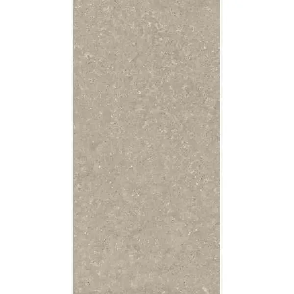 Delconca Wild HWD11 Piastrelle Greige 60x120 8,5mm R10
