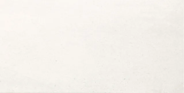 Recer Mauna White piastrella gres 30x60 bianco naturale