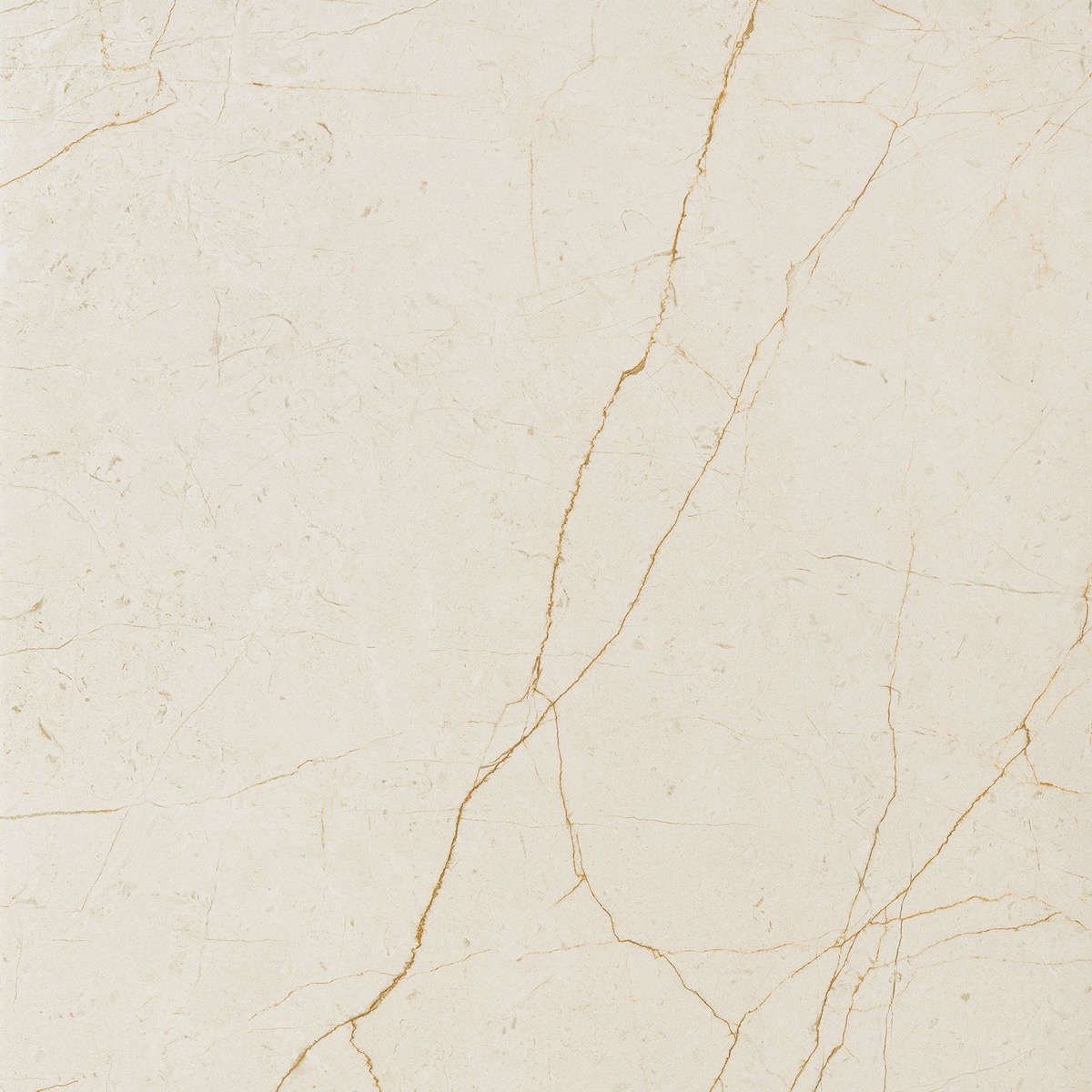Recer Alpine 60x60R gres porcellanato naturale