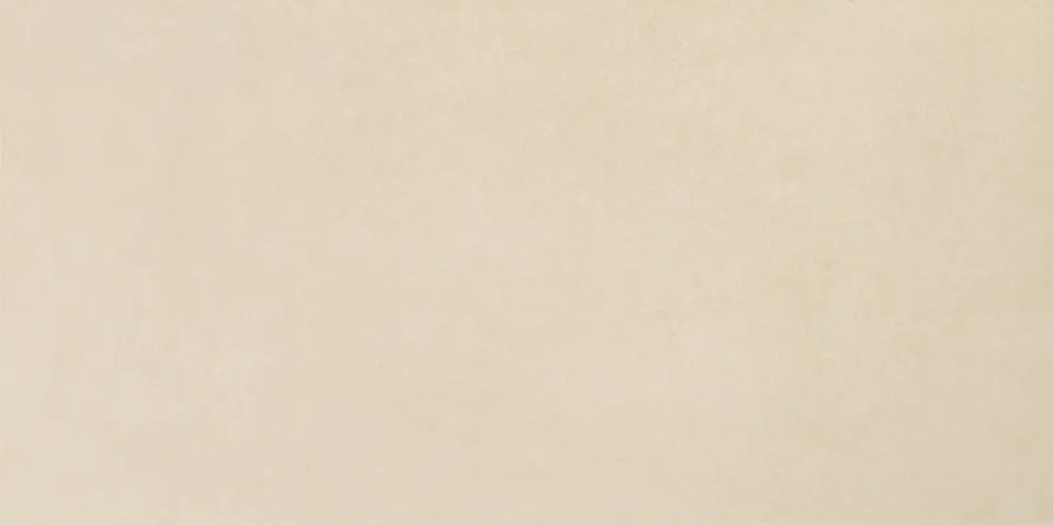 Recer Time Branco Canvas piastrella 60x120R bianca natural