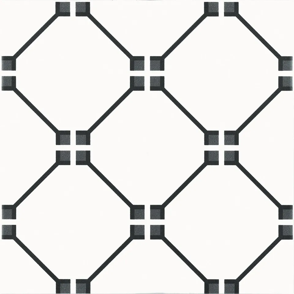 Recer Sentir Projectos Par Preto 20x20 piastrelle nere natural