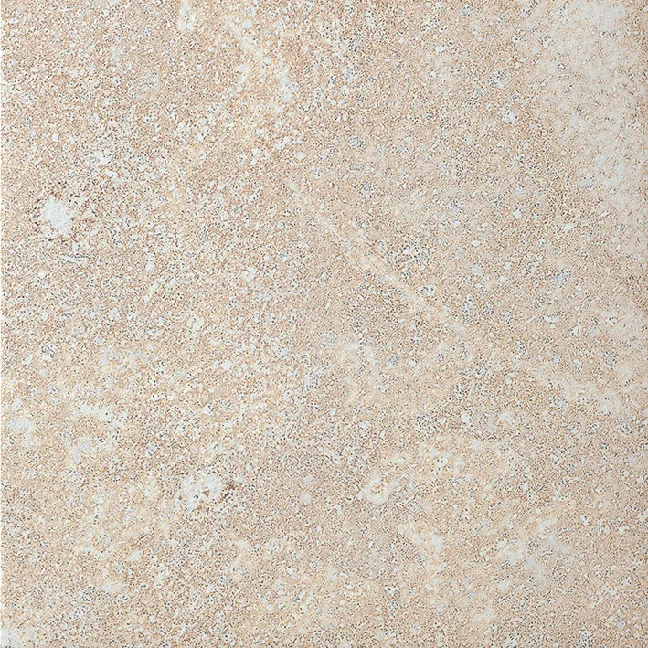 Recer Roots Beige piastrella gres 13x13 naturale campione