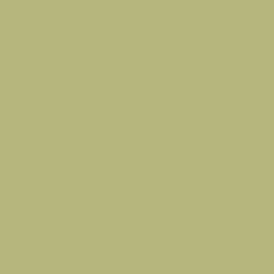 Recer Projectos Verde M151 piastrella gres 13x13 campione
