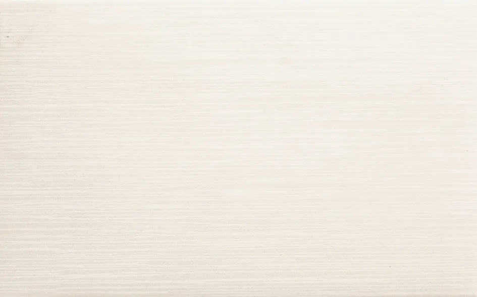 Recer Manlia Grey 25x40 piastrella grigia parete