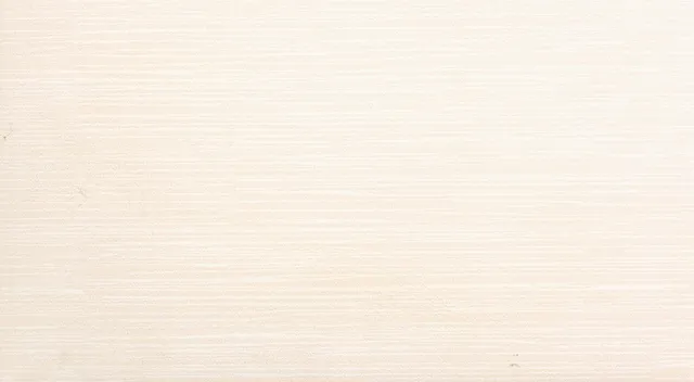 Recer Manlia Beige Rev 30x60 piastrella beige naturale