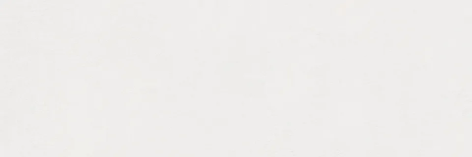 Recer Swing White piastrella 30x90R naturale parete bianco