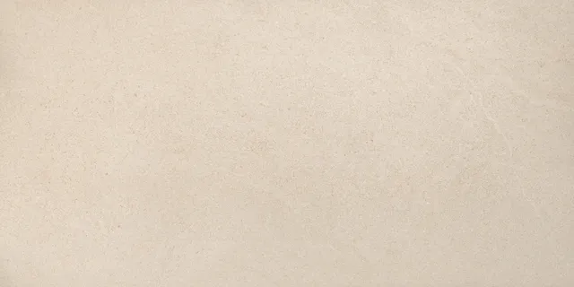 Recer Alliance Beige 60x120R piastrella beige naturale