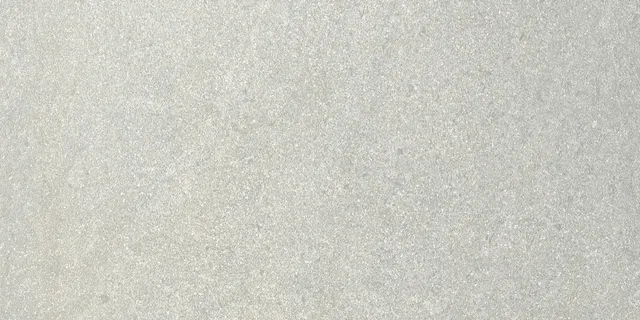 Recer Alliance Piastrella Grey 30x60R Plus Rettificata