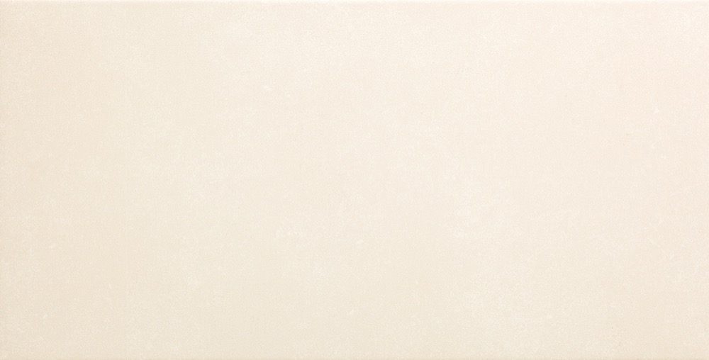 Recer Saluto White piastrella 30x60 Natural