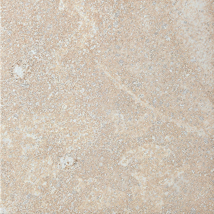 Recer Roots Beige piastrella 33x33 naturale