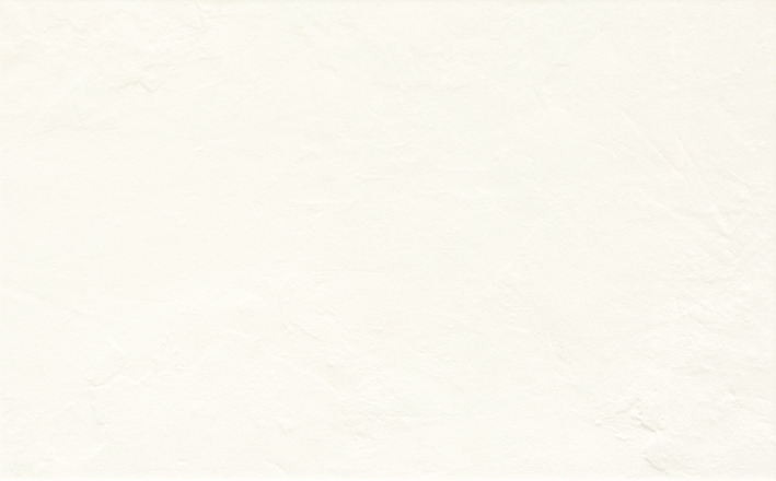 Recer Sphata White 25x40 piastrella bianca naturale