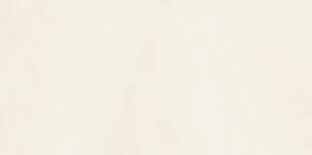 Recer Dune Beige 30x60R piastrella mate rettificata