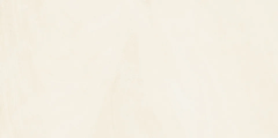 Recer Dune Beige 30x60R piastrella mate rettificata