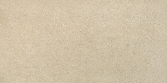 Recer Alliance Dark Beige 60x120R piastrella beige naturale