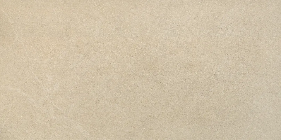 Recer Alliance Dark Beige 60x120R piastrella beige naturale