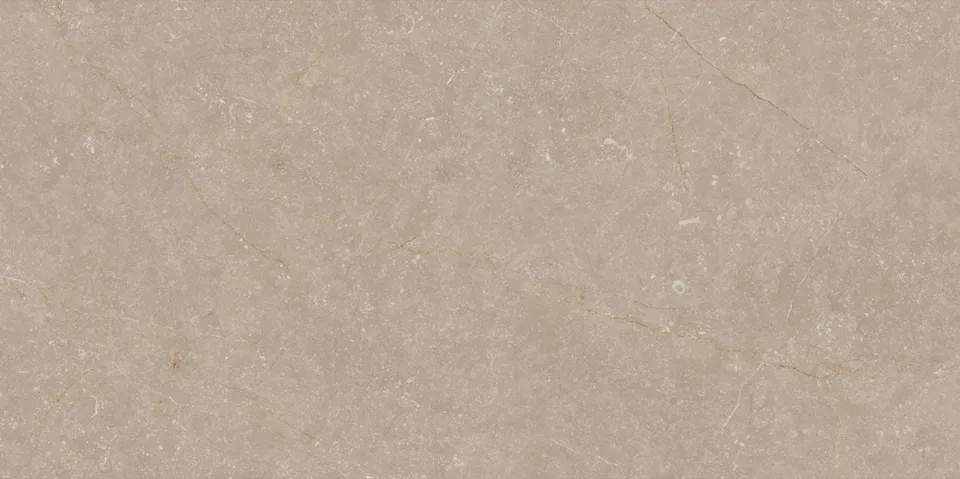 Recer Bluenza Earth Clay lastra 60x120R Natural