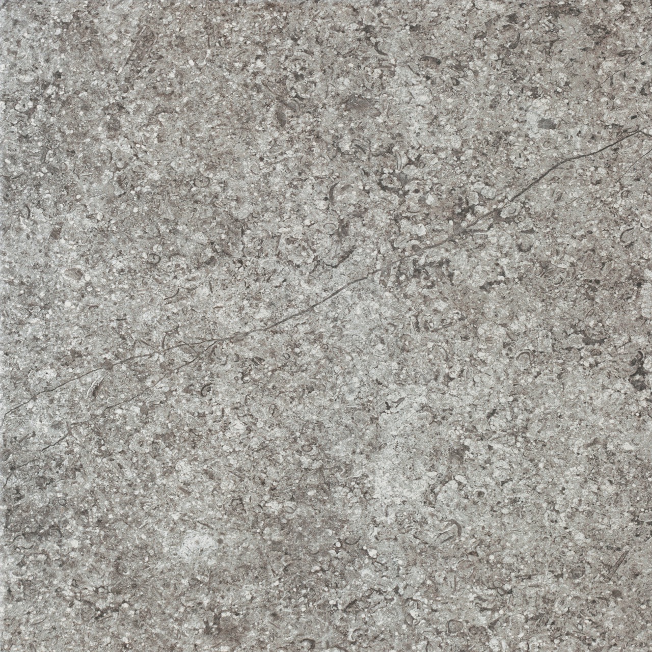 Recer Impetus Grey piastrelle 33x33 Plus
