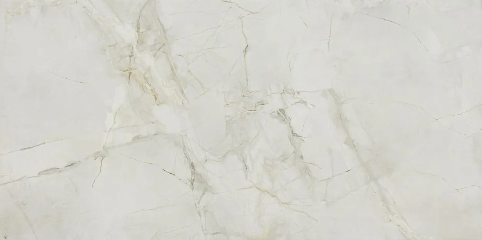 Recer Griseo 60x120R piastra lucida polido rettificata