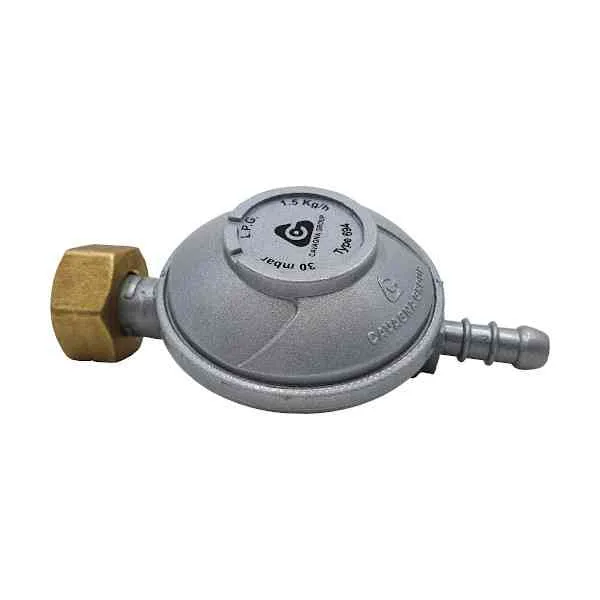 Regolatore gas LPG 1 kg/h riduttore pressione bombola uso esterno