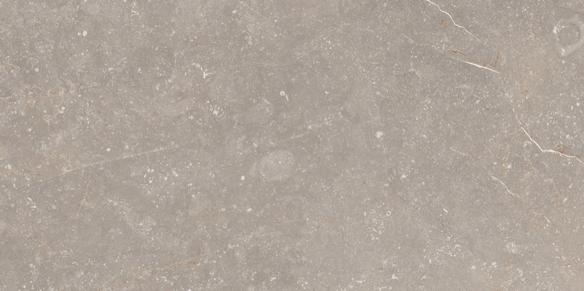 Recer Bluenza Warm Grey piastrella 30x60 naturale pavimento